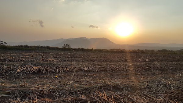 sunset over sugarcane field in Guatemala