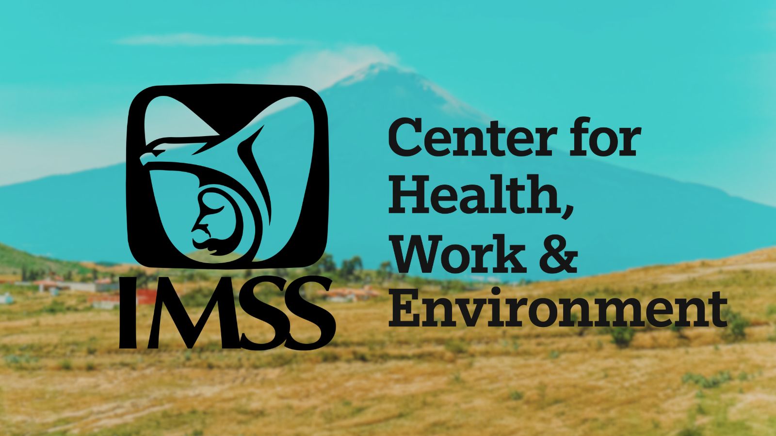 IMSS CHEW Blog banner