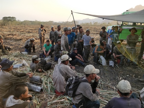 Sugarcane workers near bus