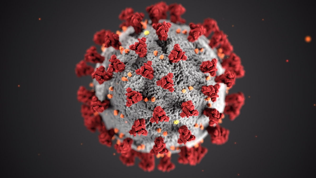 CDC illustration of coronavirus