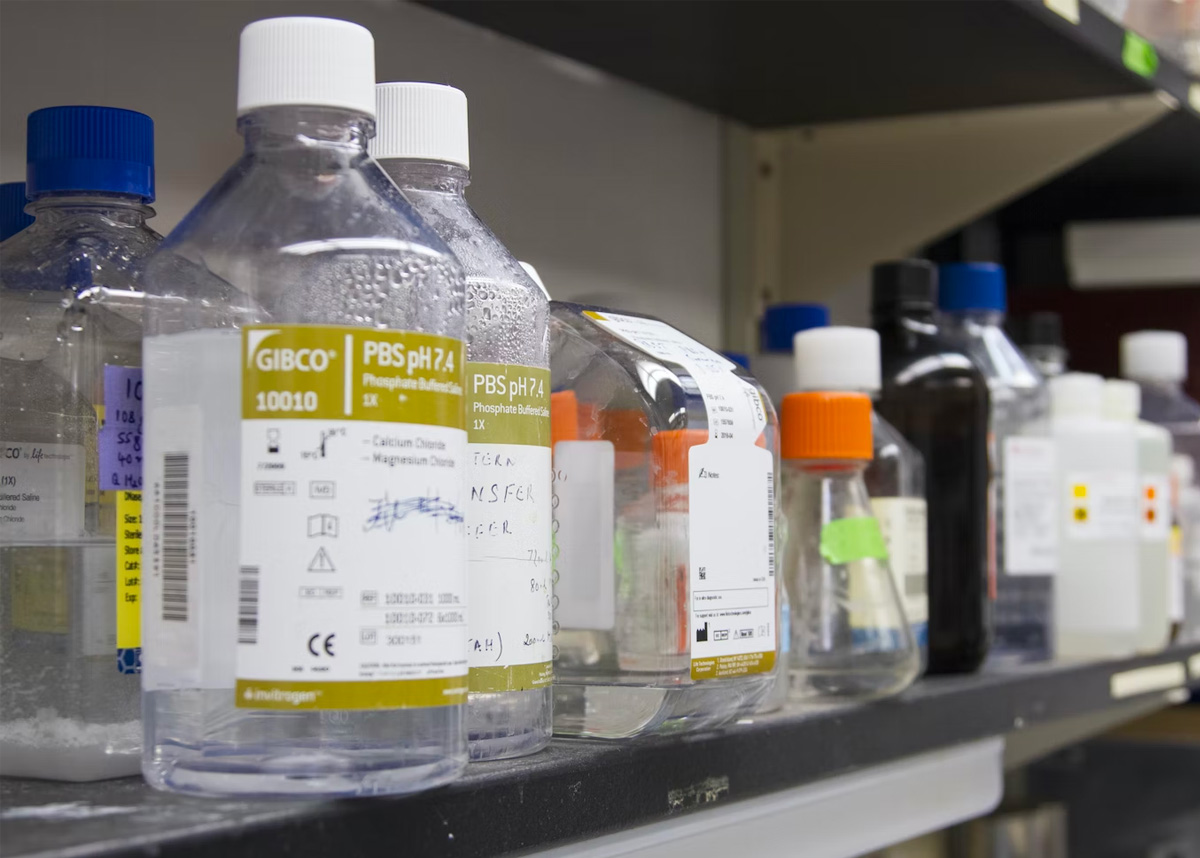 Chemicals on lab bench