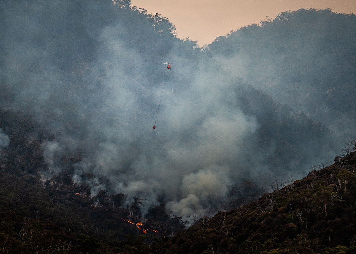 Helicopter dropping a bucket of water on a forest on fire