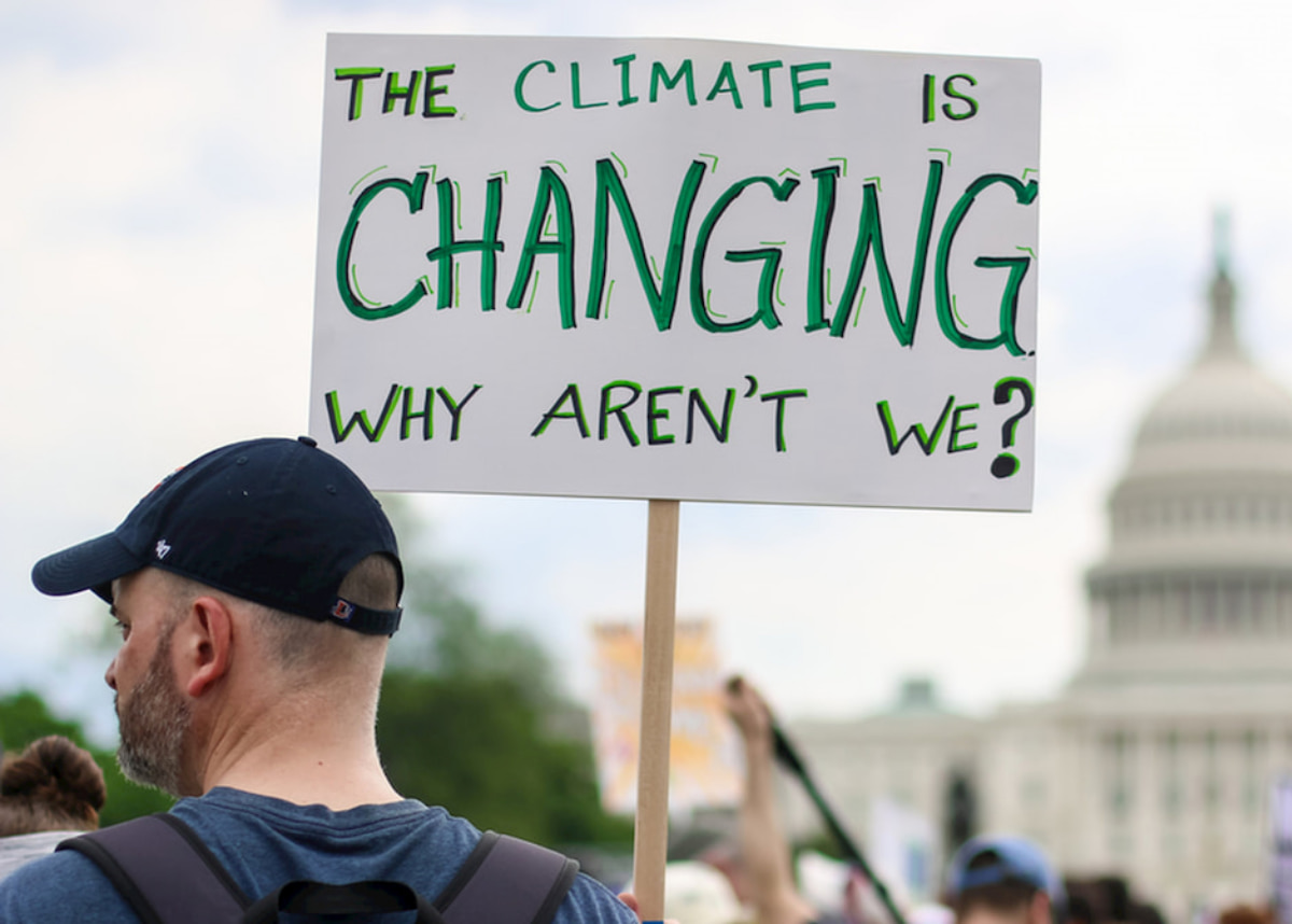 Climate change protestors