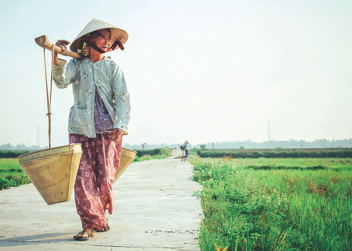 woman with basket on her shoulders in a field