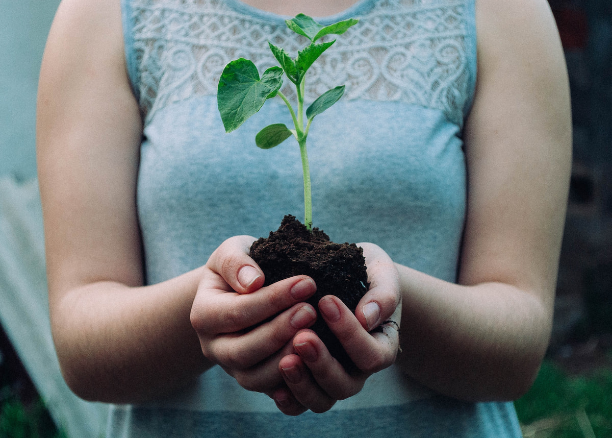 White female holding plant in soil