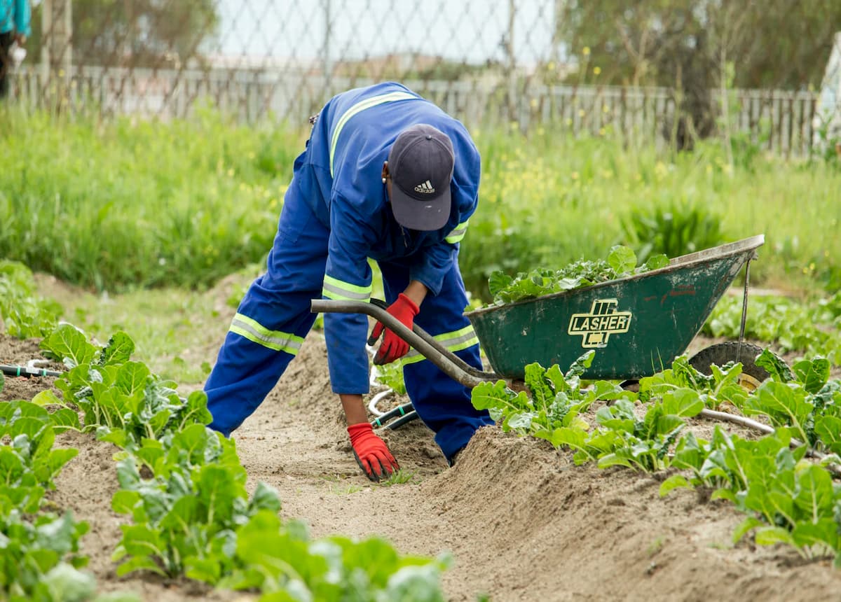 Agriculture workers