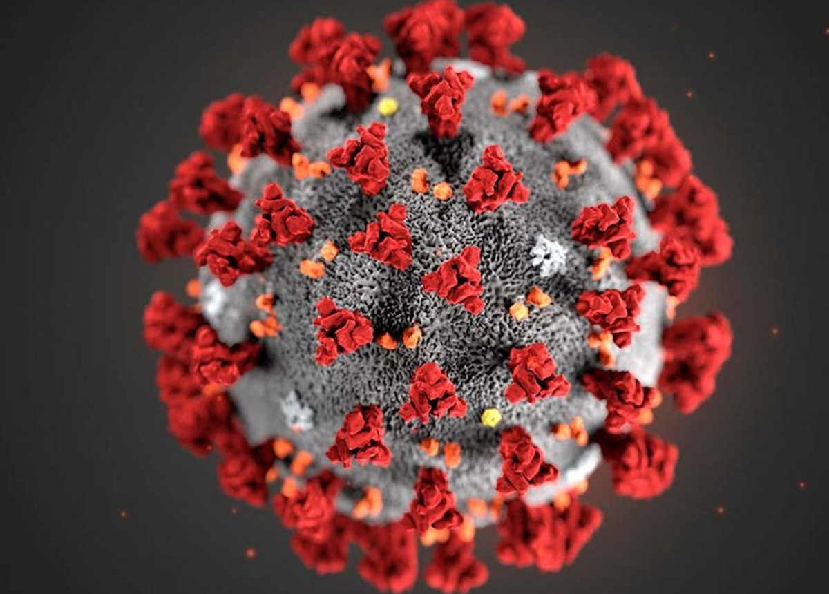 coronavirus close up