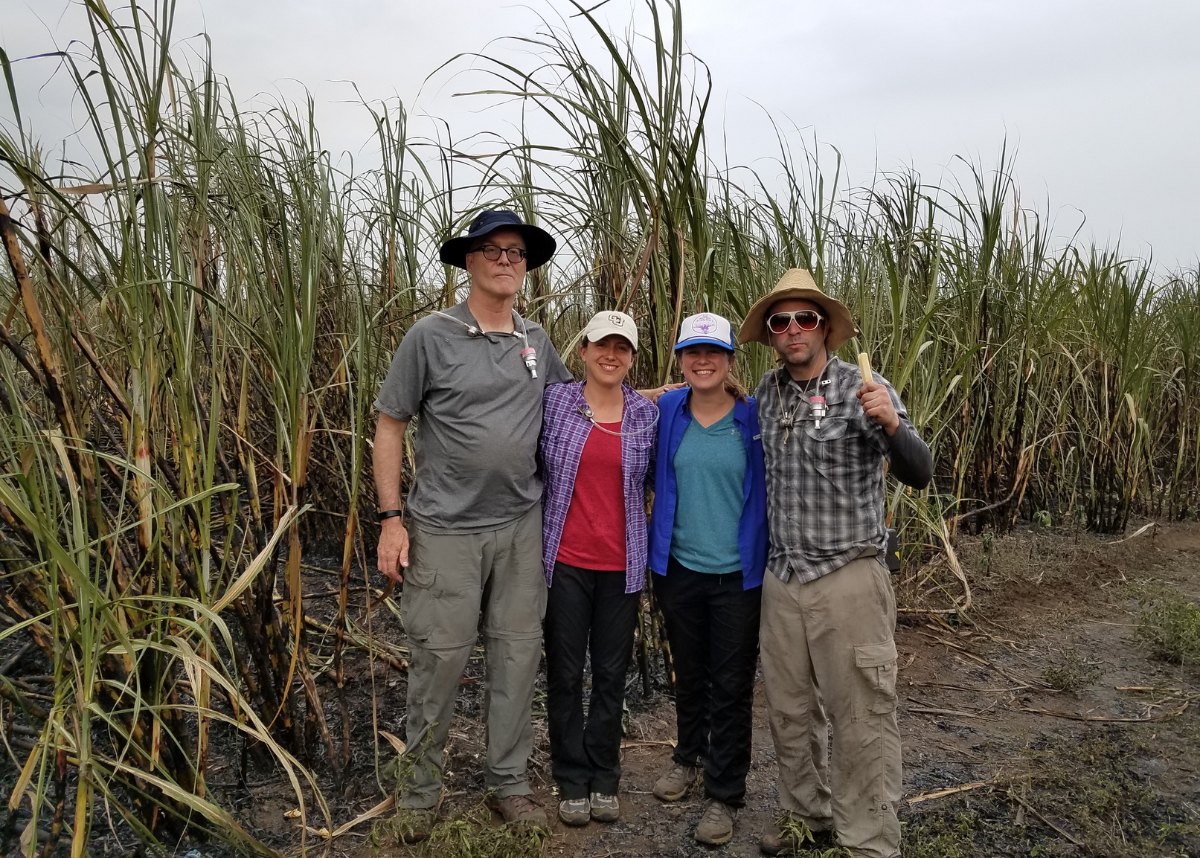 Four people standing for a picture