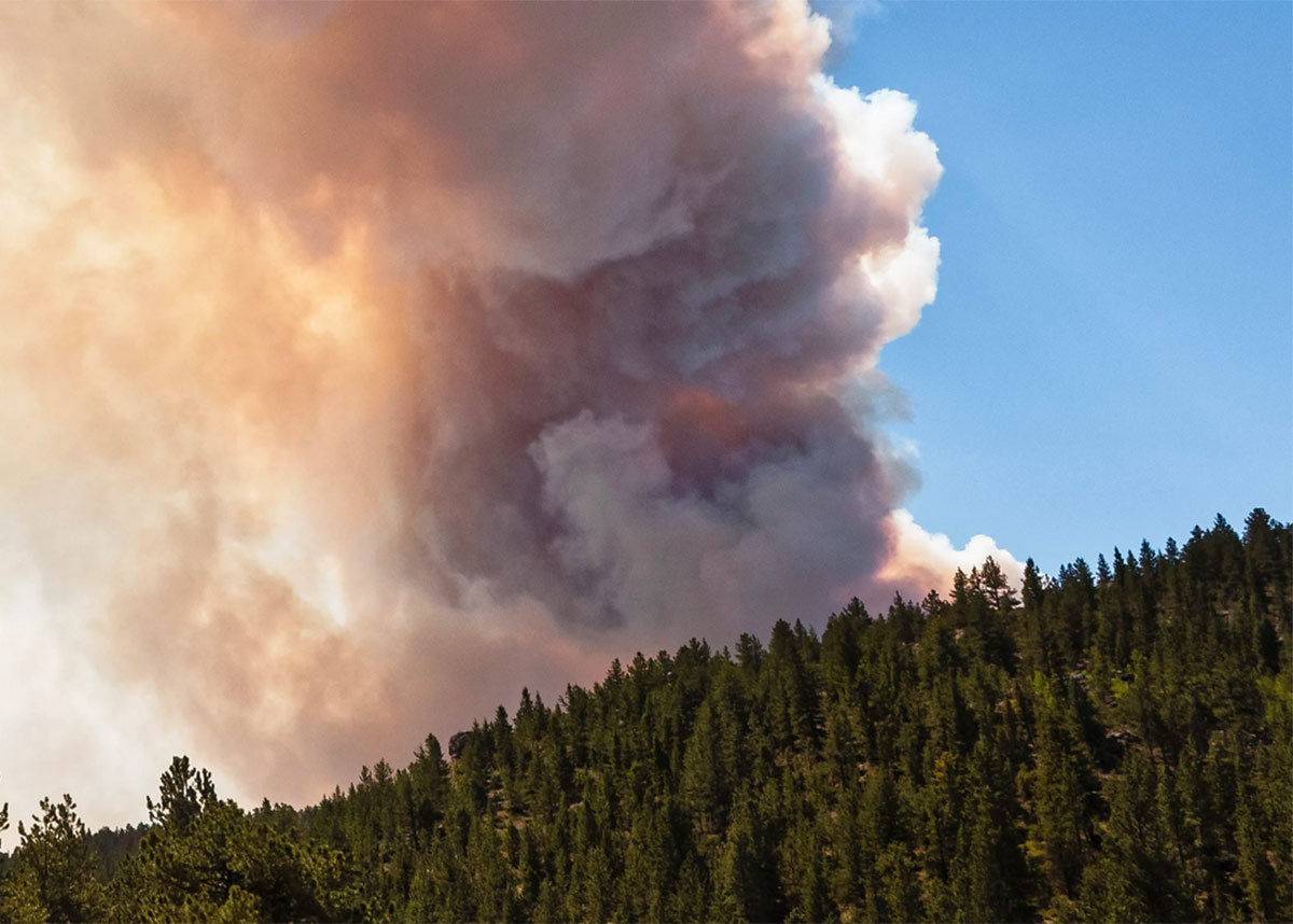 wildfire smoke in sky