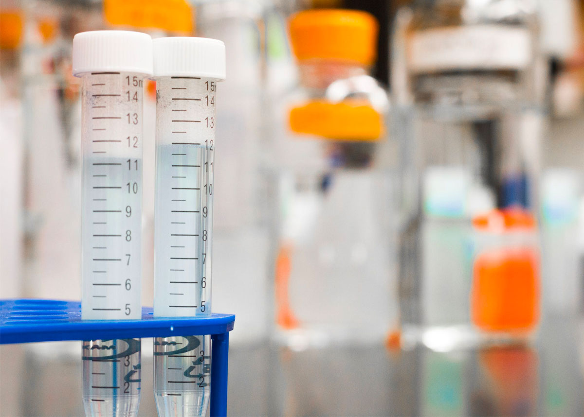 Test tubes on table