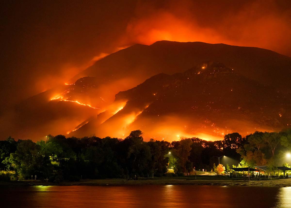 Wildfire in forest at night