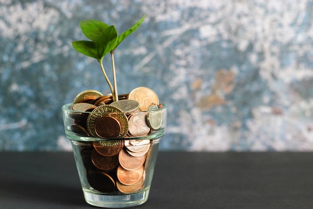 small plant in glass container filled with coins