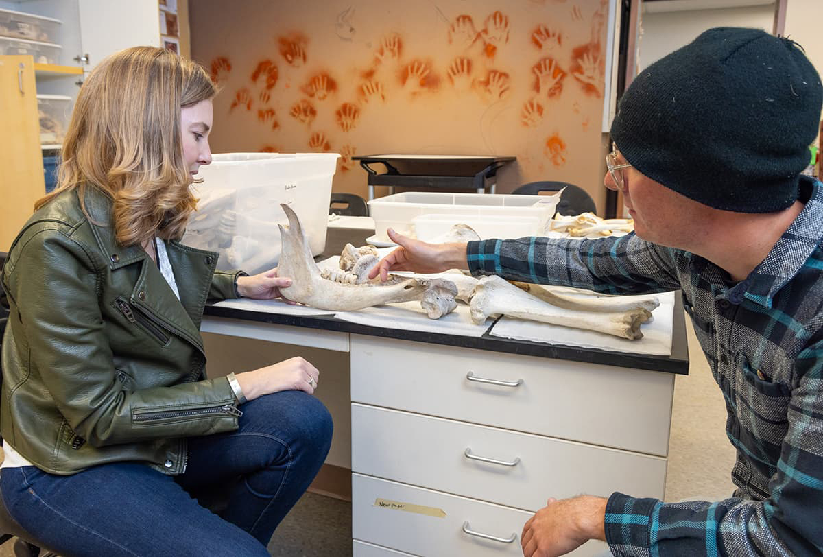 Two people sit at a table in a classroom lab setting looking over skeletal remains.