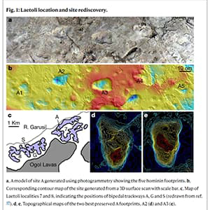 Image of a diagram from the publication in Nature