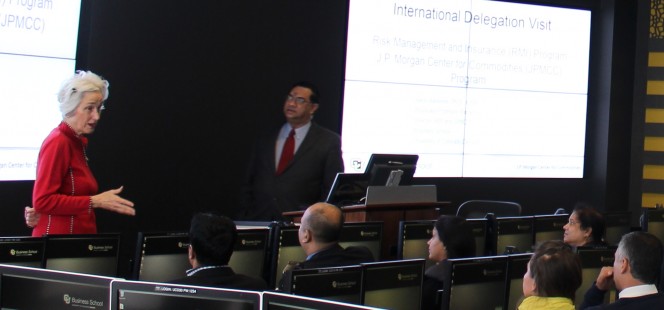 Delegation giving a presentation Delegation giving a presentation