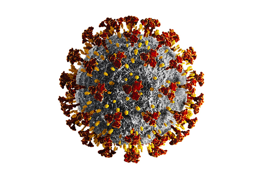 Coronavirus-850w