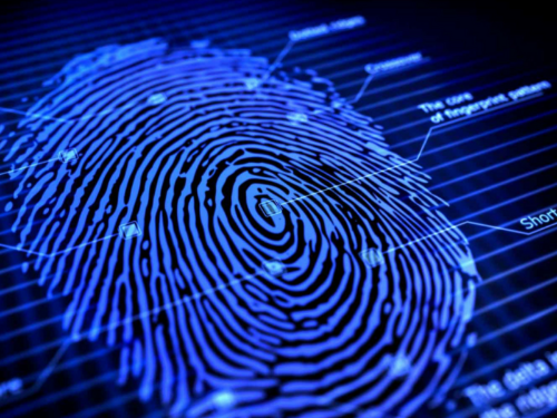 Image of finger print analyis