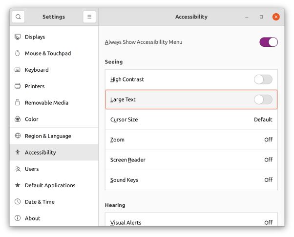 large text accessibility setting