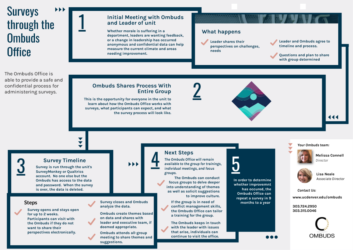 survey process_visual